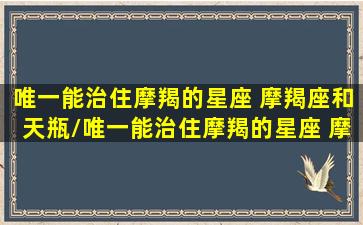 唯一能治住摩羯的星座 摩羯座和天瓶/唯一能治住摩羯的星座 摩羯座和天瓶-我的网站